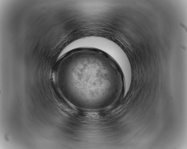 X0000096950328200802081235