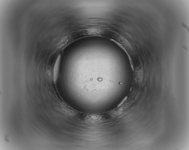 X0000096950329200802081235
