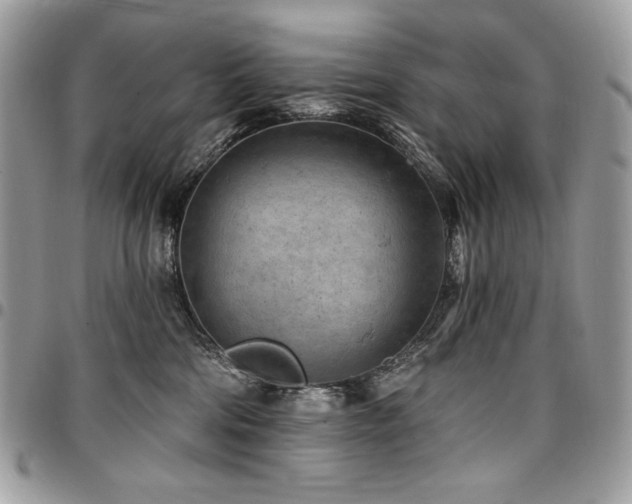 X0000096950330200802081235