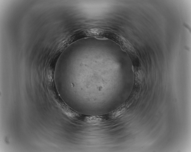 X0000096950331200802081235