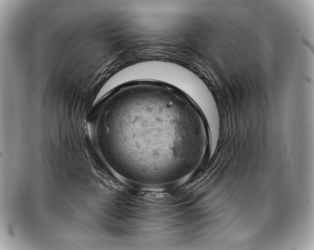 X0000096950332200802081235