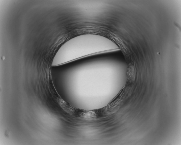 X0000096950333200802081235