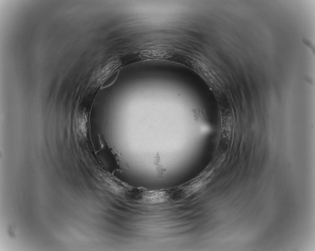 X0000096950334200802081235