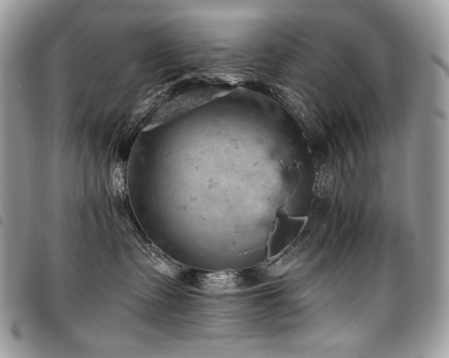 X0000096950335200802081235