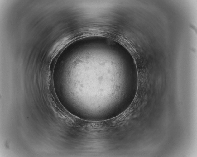 X0000096950338200802081234