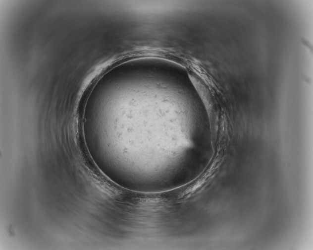 X0000096950342200802081234