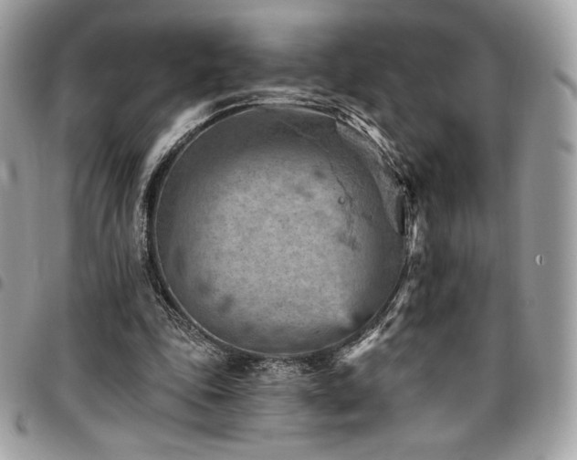 X0000096950343200802081235