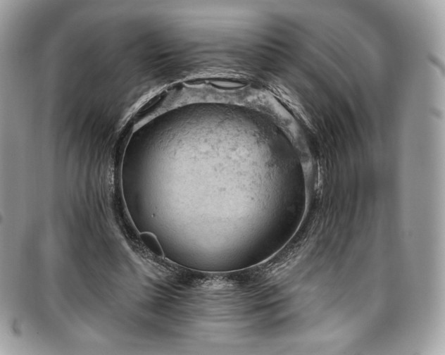 X0000096950348200802081235