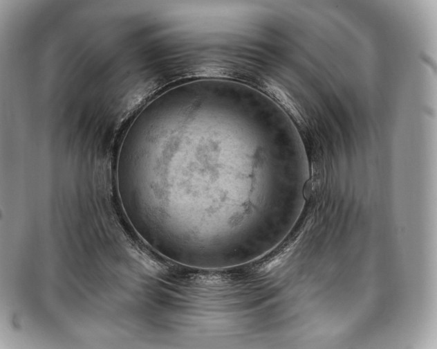 X0000096950349200802081235