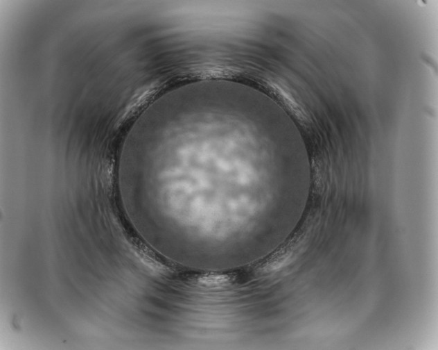 X0000096950357200802081235