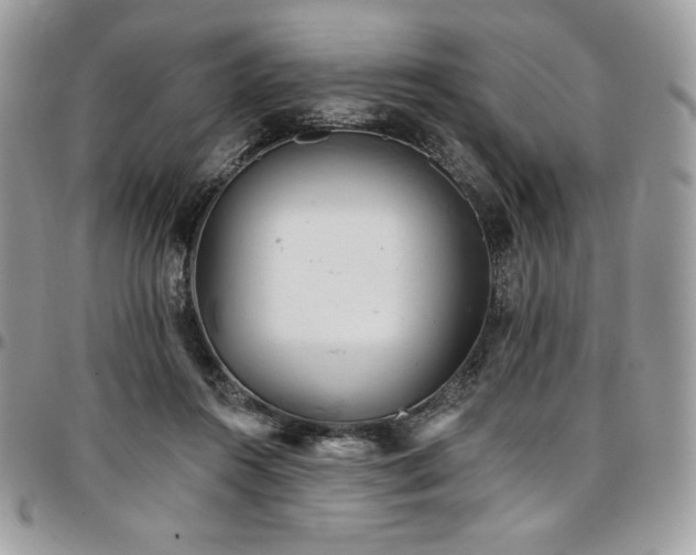 X0000096950360200802081235