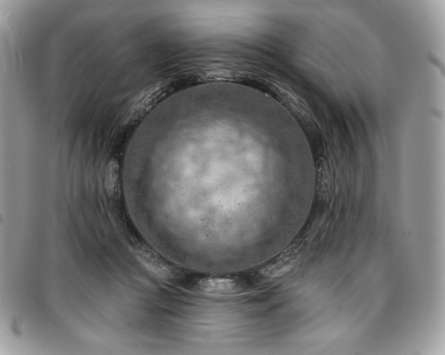 X0000096950361200802081235