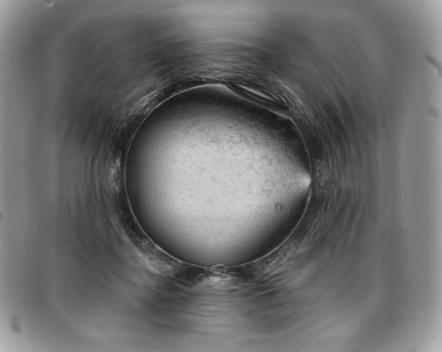 X0000096950364200802081235