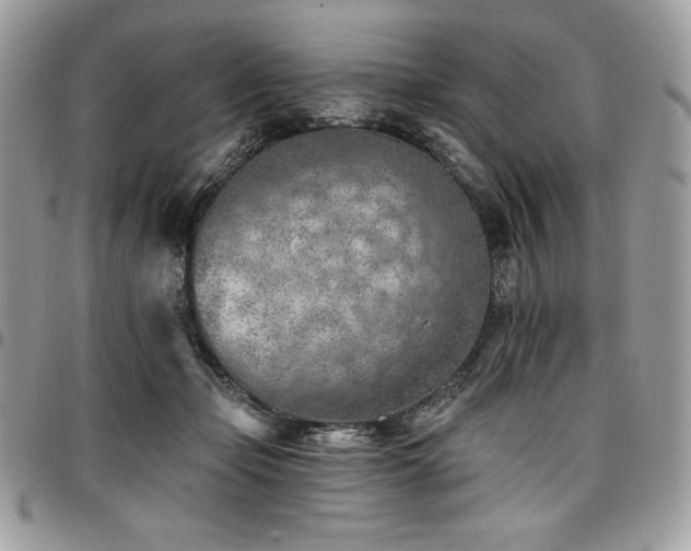 X0000096950365200802081235