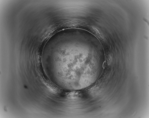 X0000096950366200802081235