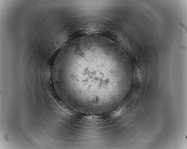 X0000096950367200802081235