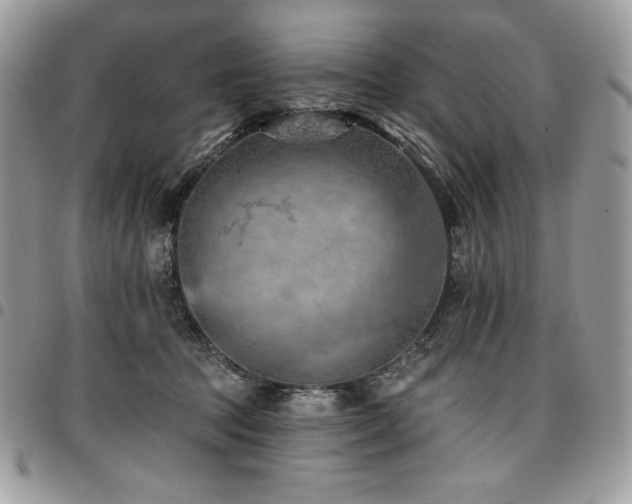 X0000096950369200802081235