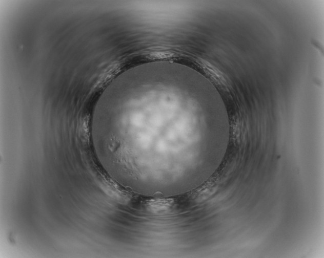 X0000096950373200802081235