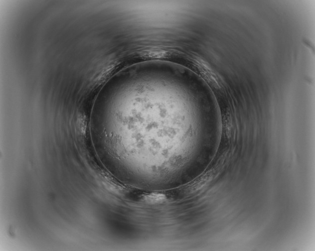 X0000096950374200802081235