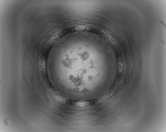 X0000096950375200802081235