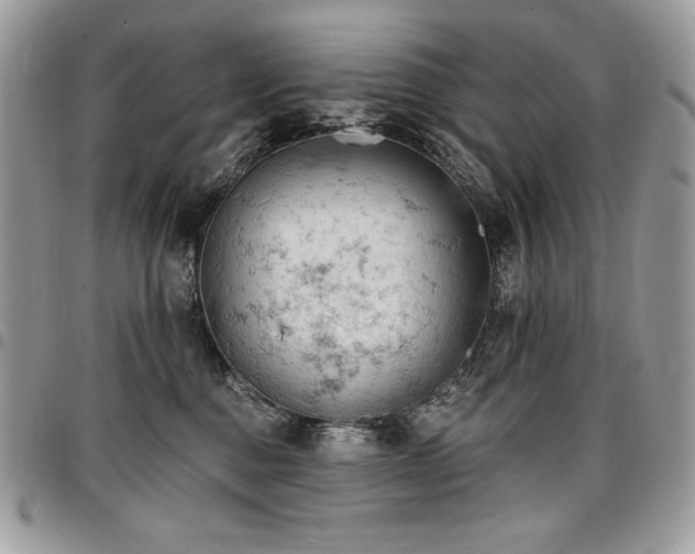 X0000096950376200802081235