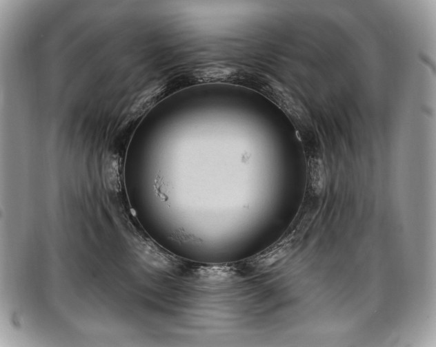 X0000096950378200802081235