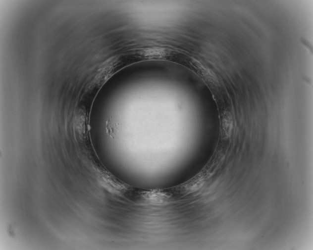 X0000096950379200802081235