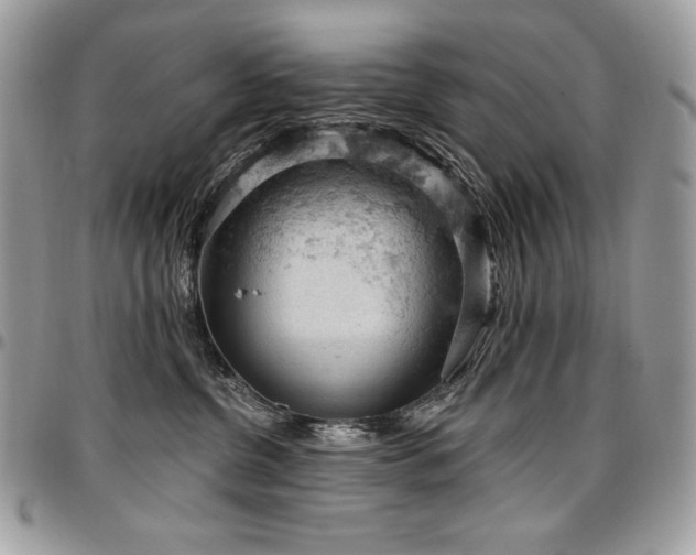 X0000096950380200802081235