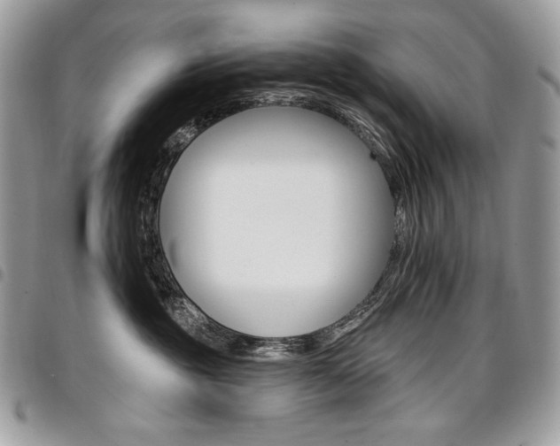 X0000096950381200802081235
