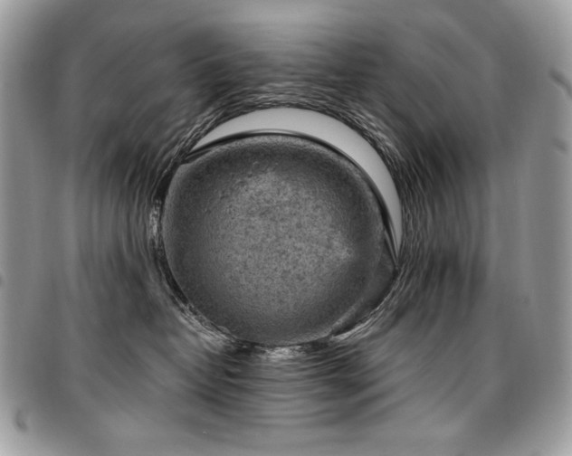 X0000096950382200802081235
