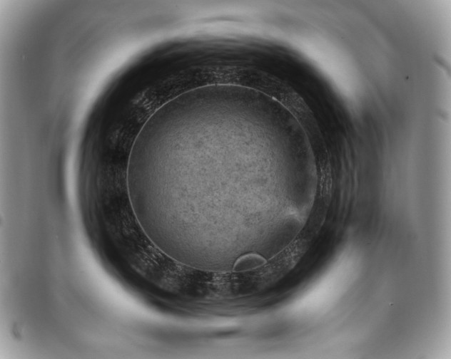 X0000096950383200802081235