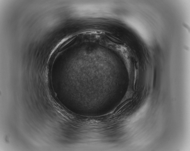 X0000096950387200802081234