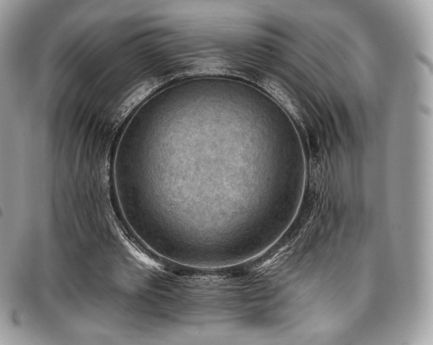 X0000096950389200802081234