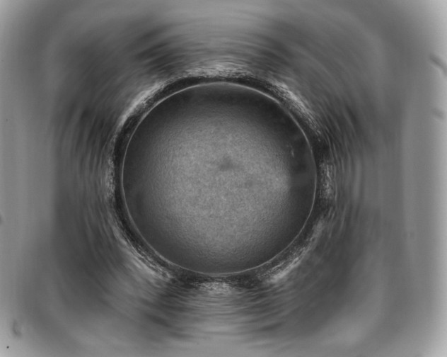X0000096950392200802081234