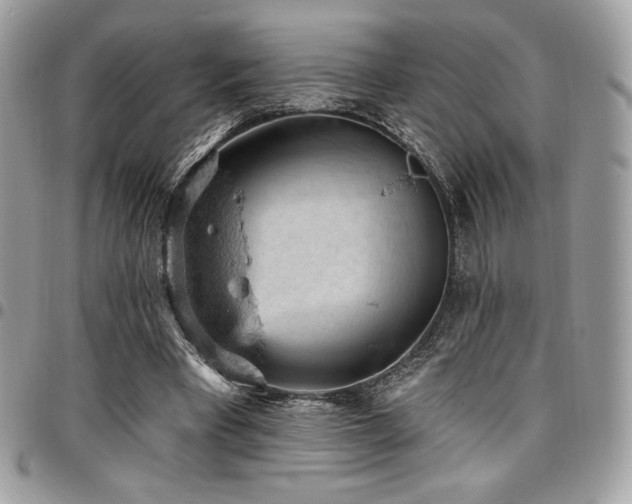 X0000096950393200802081234