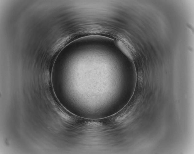 X0000096950397200802081234