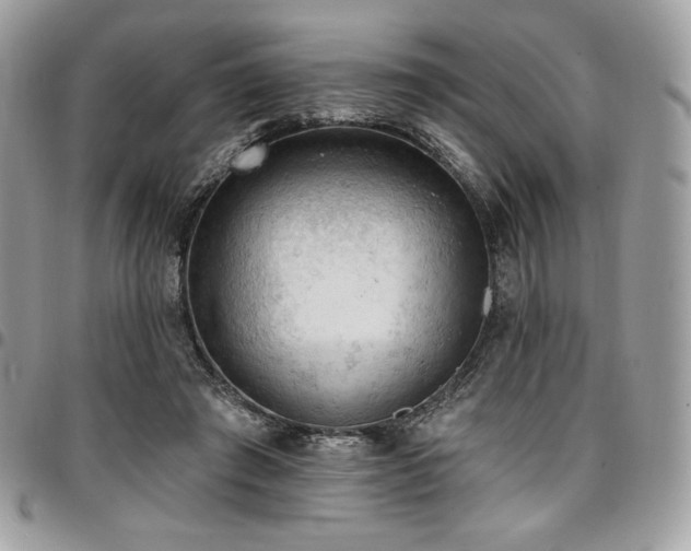 X0000096950401200802081234
