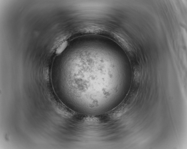 X0000096950403200802081234