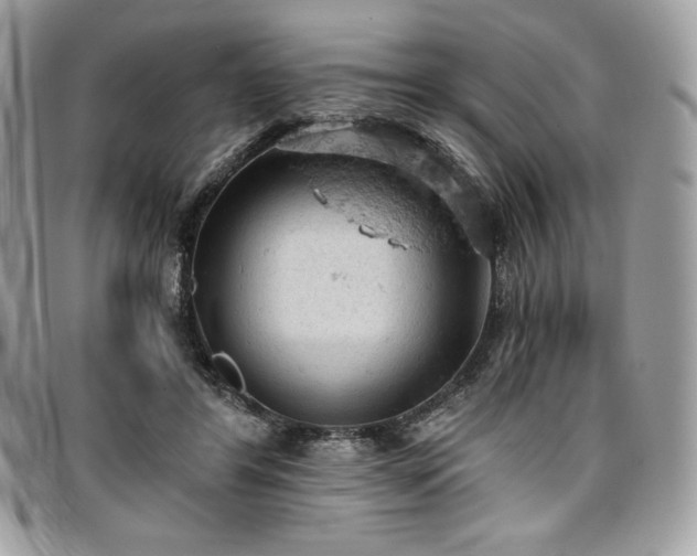 X0000096950404200802081234