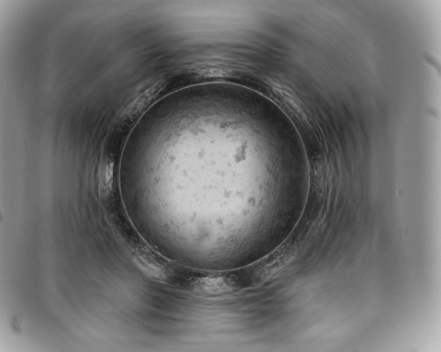 X0000096950406200802081234