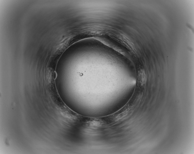X0000096950412200802081234