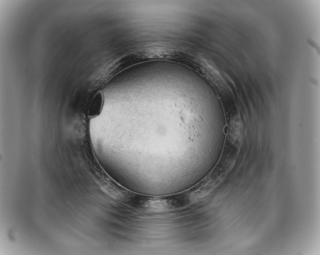 X0000096950413200802081234