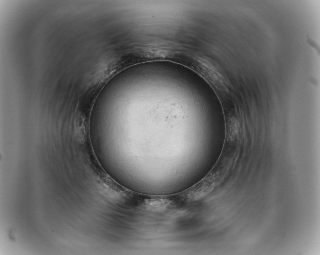X0000096950414200802081234