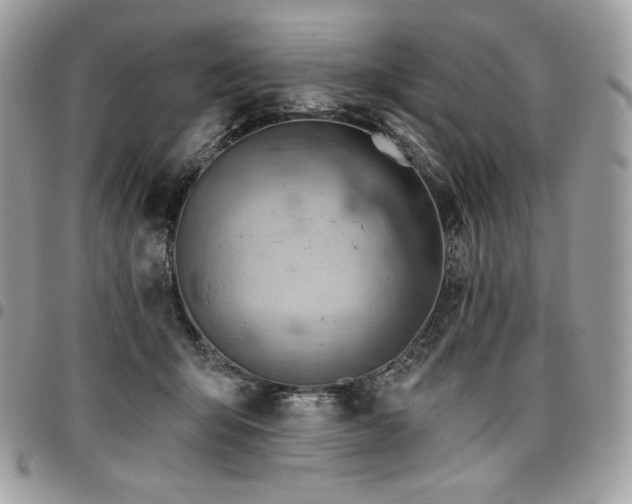 X0000096950415200802081234