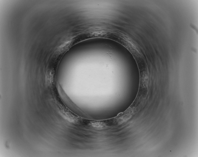X0000096950417200802081234