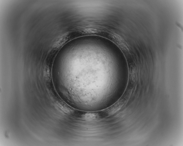 X0000096950418200802081234