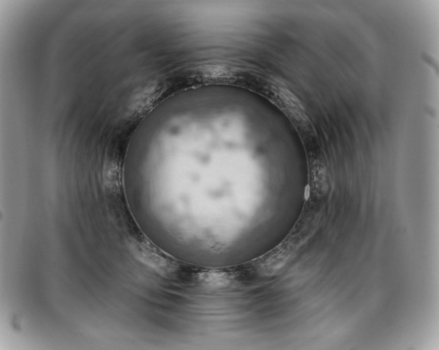 X0000096950419200802081234