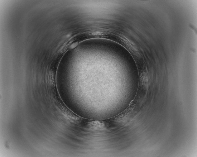X0000096950421200802081234