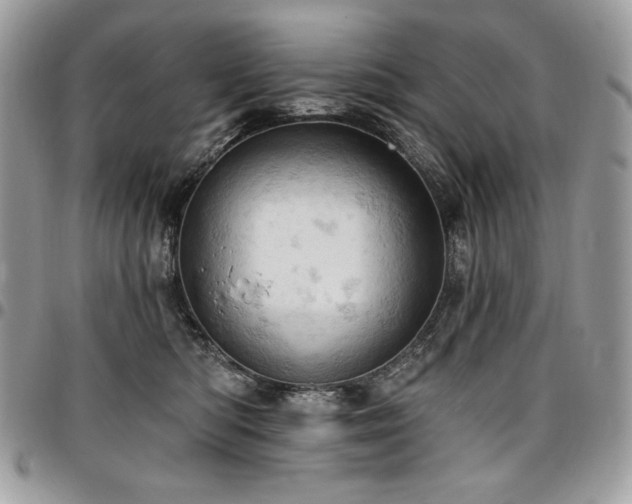 X0000096950422200802081234