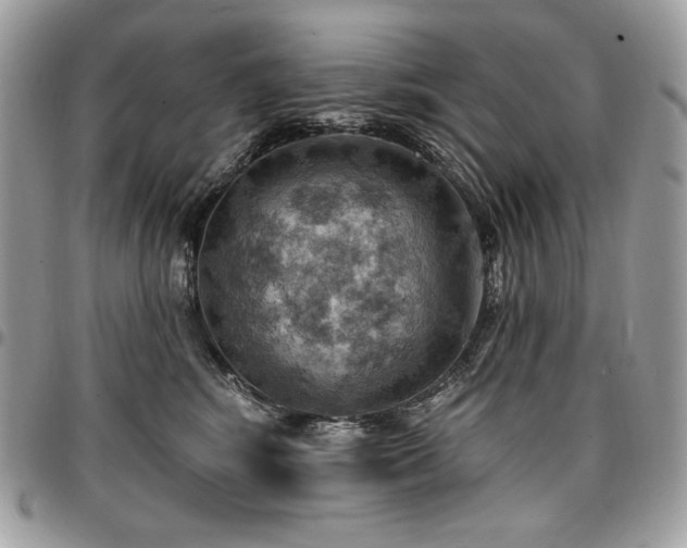 X0000096950424200802081234